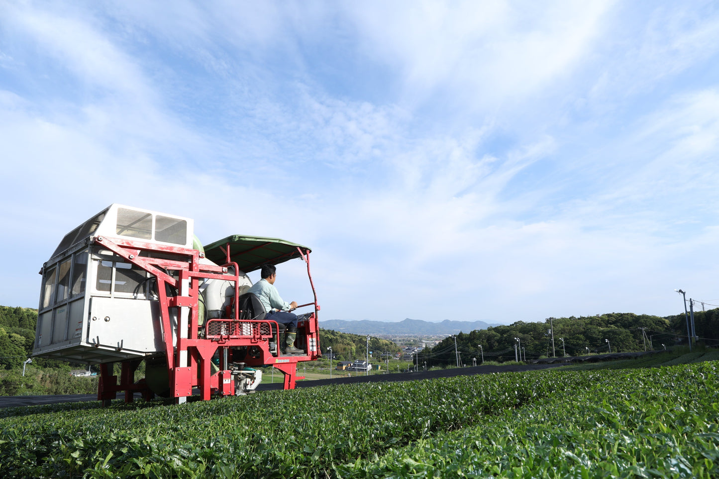 De oorsprong van onze matcha: puur vakmanschap uit Kagoshima, Japan